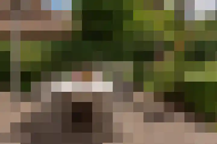 de Ploeg 12 Wezep thumbnail 53