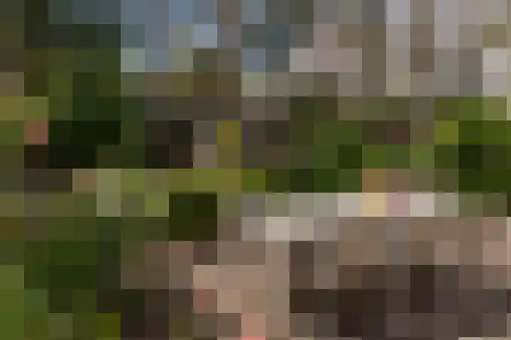 de Ploeg 12 Wezep thumbnail 54