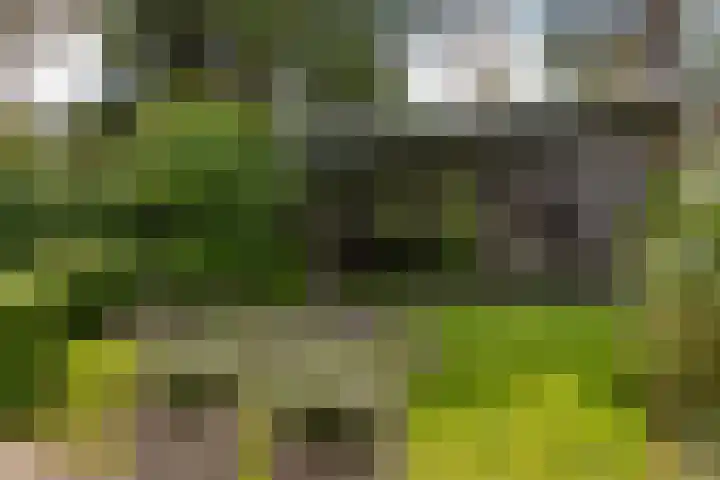 de Ploeg 12 Wezep thumbnail 57