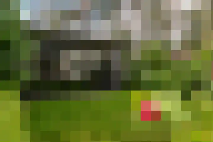 de Ploeg 12 Wezep thumbnail 58