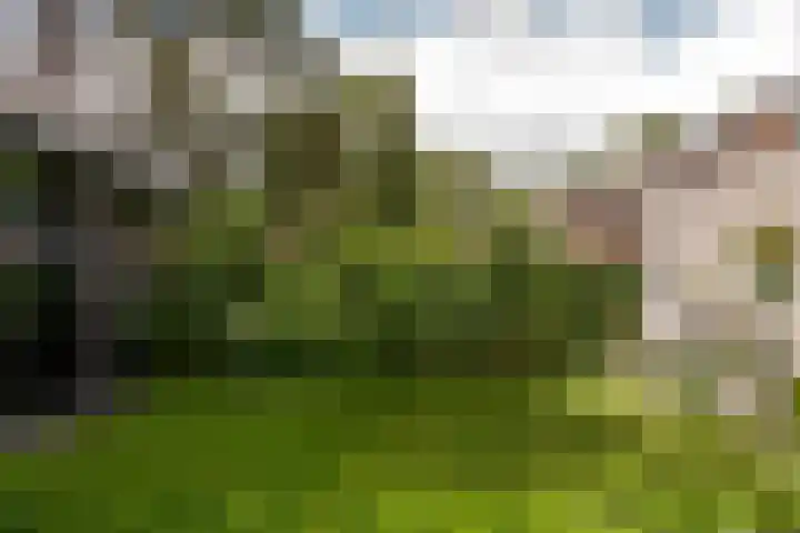 de Ploeg 12 Wezep thumbnail 59