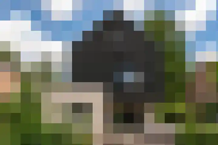 de Ploeg 12 Wezep thumbnail 60