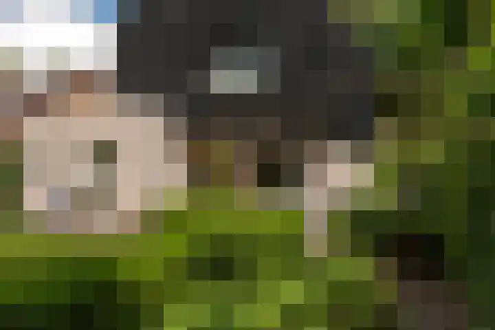 de Ploeg 12 Wezep thumbnail 62