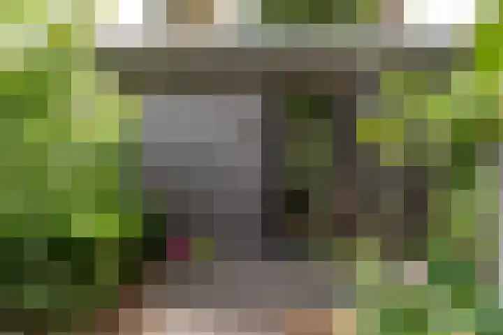 de Ploeg 12 Wezep thumbnail 64