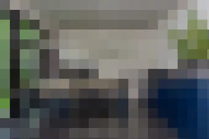 de Ploeg 12 Wezep thumbnail 65