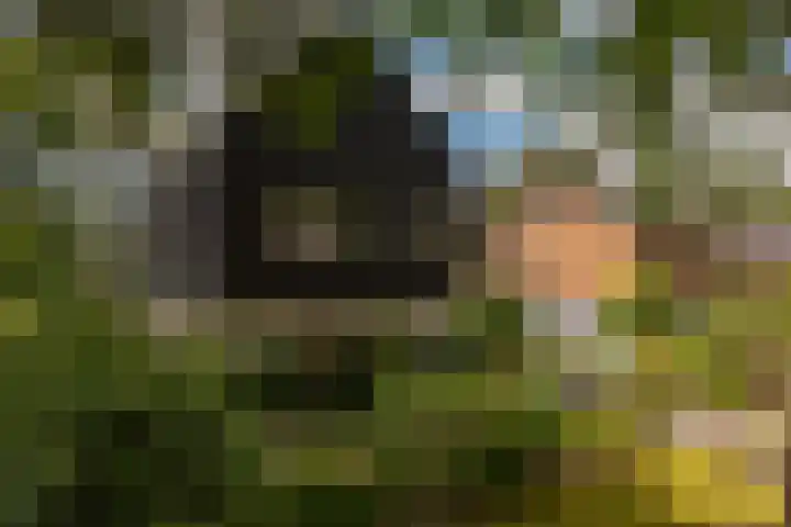 de Ploeg 12 Wezep thumbnail 69