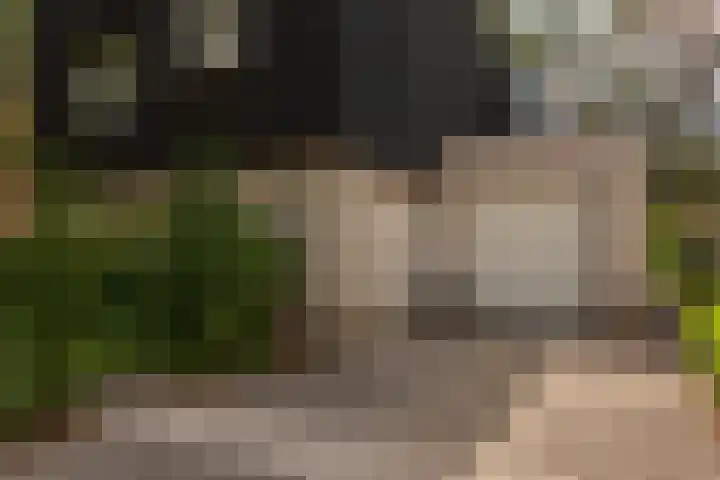 de Ploeg 12 Wezep thumbnail 70