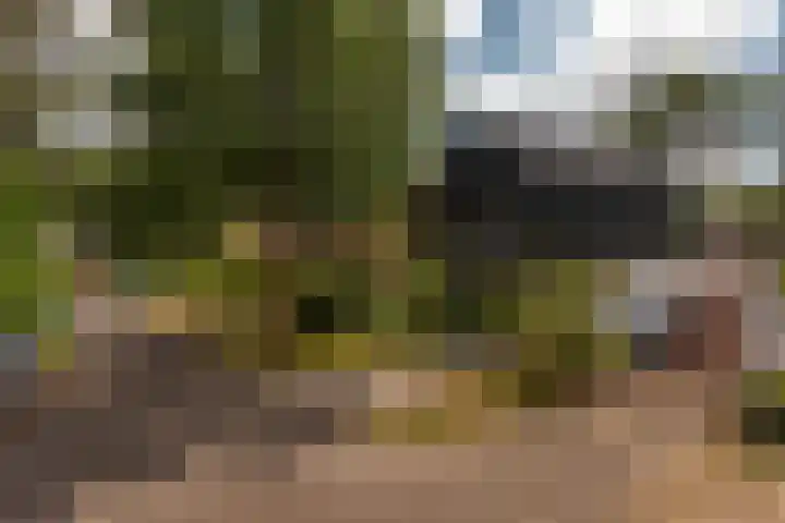 de Ploeg 12 Wezep thumbnail 71