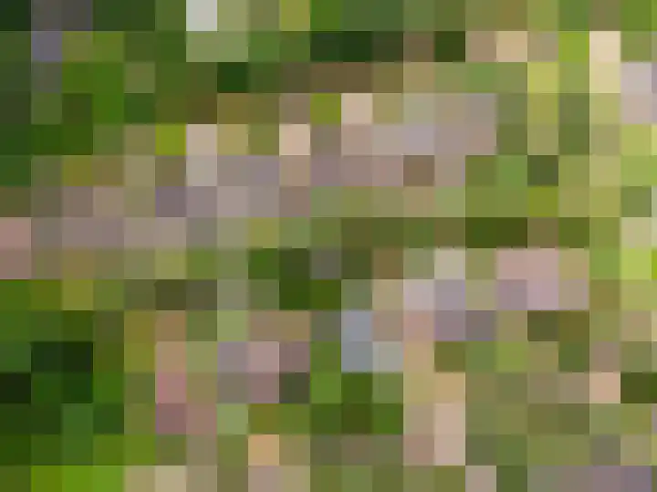 de Ploeg 12 Wezep thumbnail 73