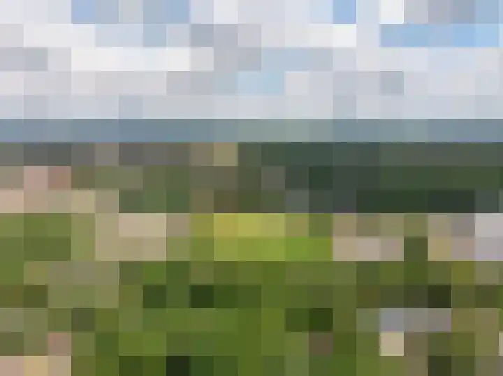de Ploeg 12 Wezep thumbnail 74