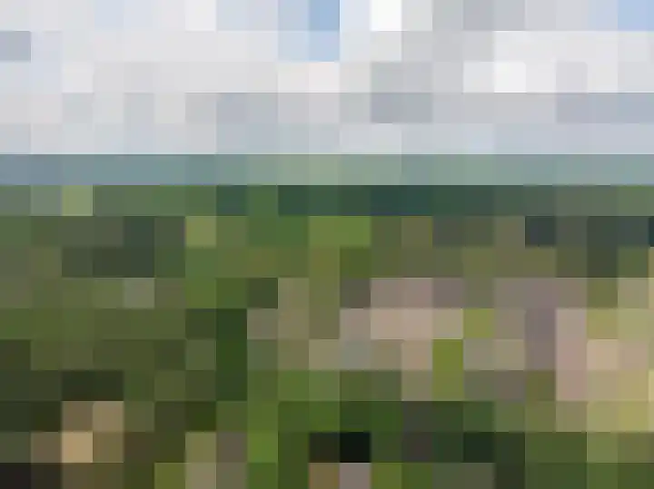de Ploeg 12 Wezep thumbnail 76