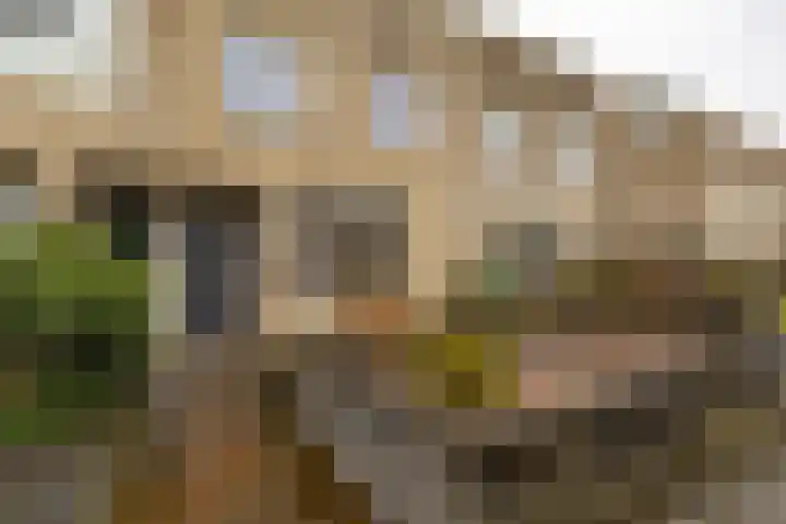 De Ploeglaan 10 Groningen thumbnail 10