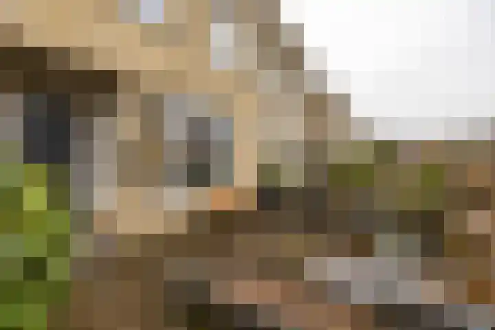 De Ploeglaan 10 Groningen thumbnail 11