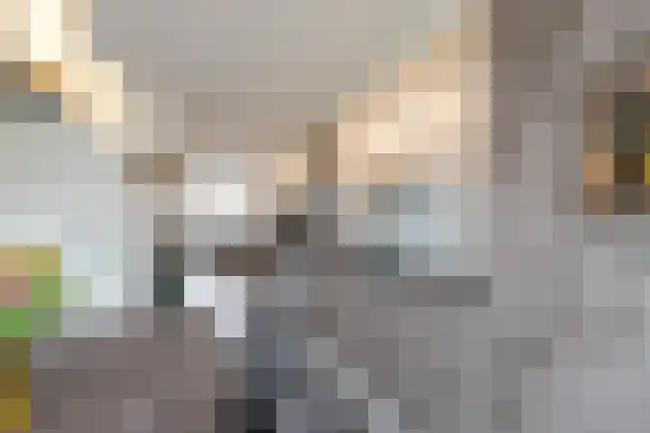 De Ploeglaan 10 Groningen thumbnail 20