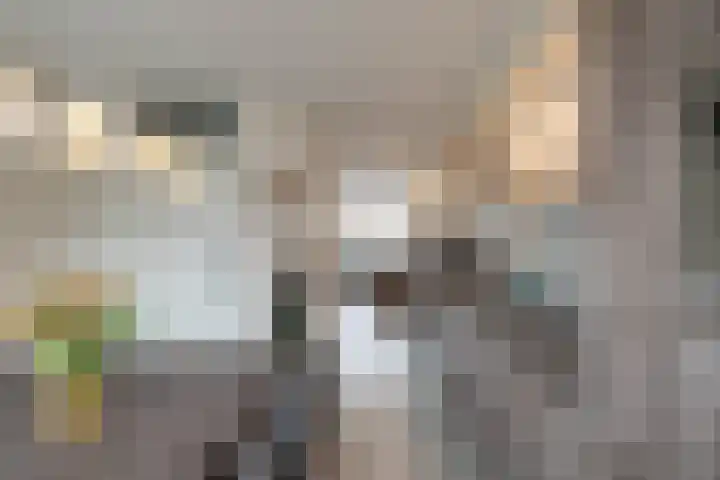 De Ploeglaan 10 Groningen thumbnail 21