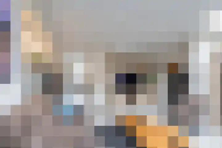 De Ploeglaan 10 Groningen thumbnail 27
