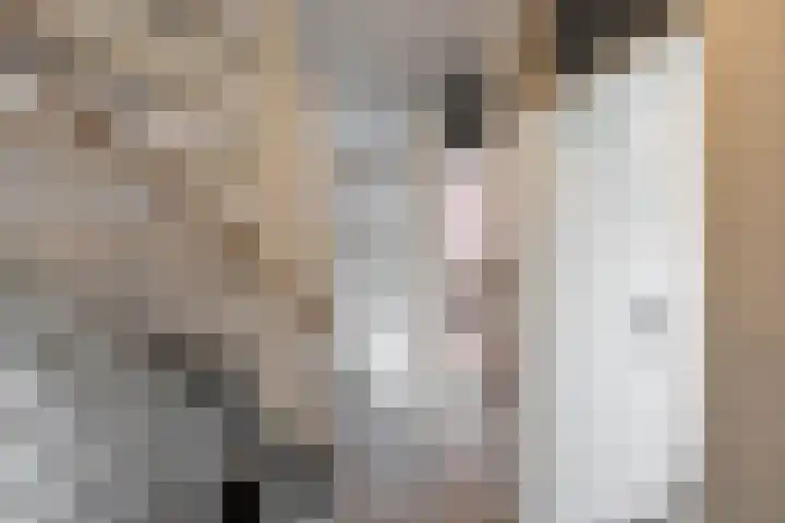 De Ploeglaan 10 Groningen thumbnail 32