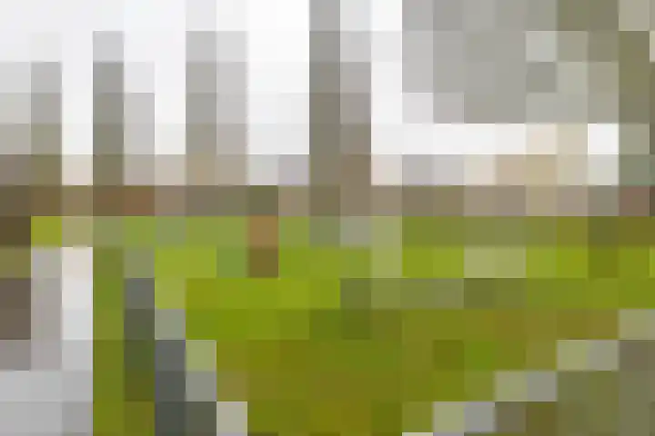 De Ploeglaan 10 Groningen thumbnail 7