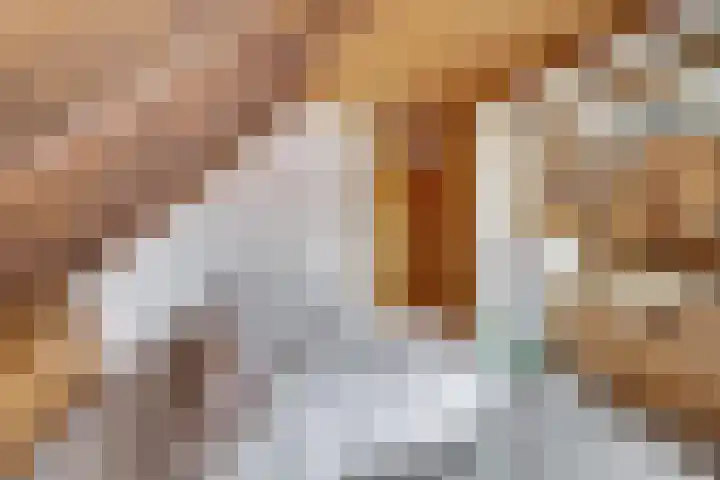 De Poel 13 Woudsend thumbnail 30