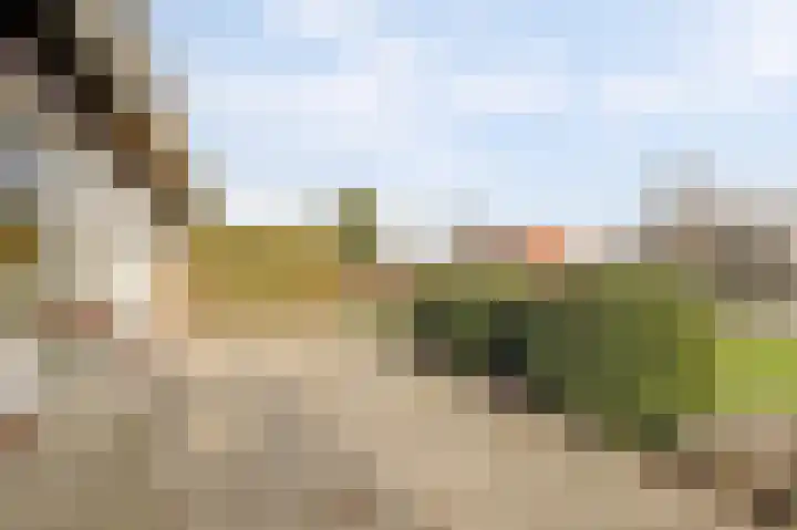 De Poel 13 Woudsend thumbnail 34