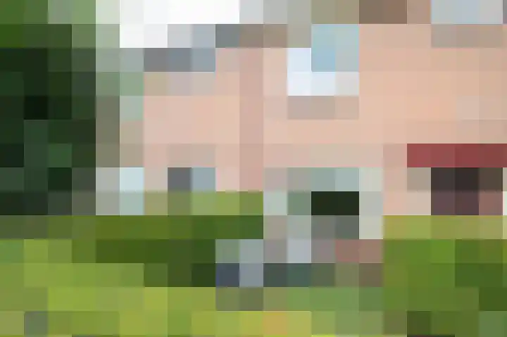 De Pol 2 Hasselt thumbnail 10