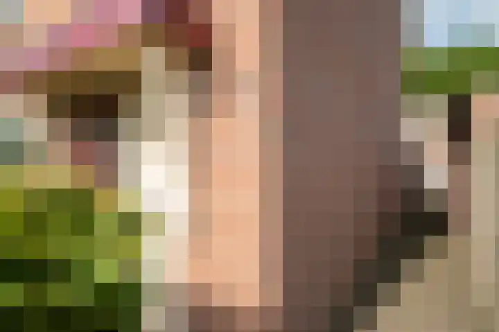 De Pol 2 Hasselt thumbnail 12