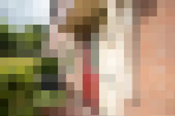 De Pol 2 Hasselt thumbnail 13