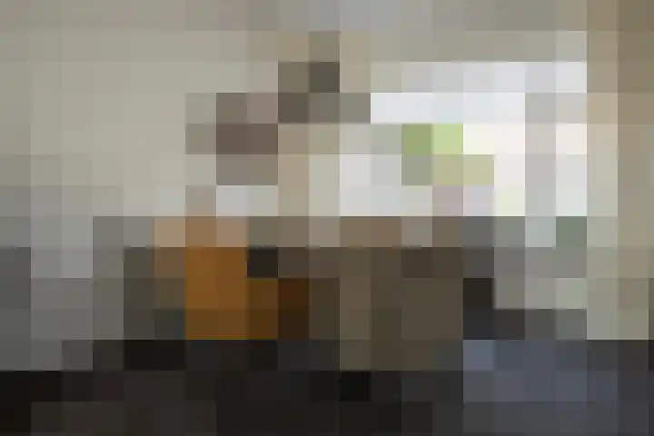 De Pol 2 Hasselt thumbnail 17