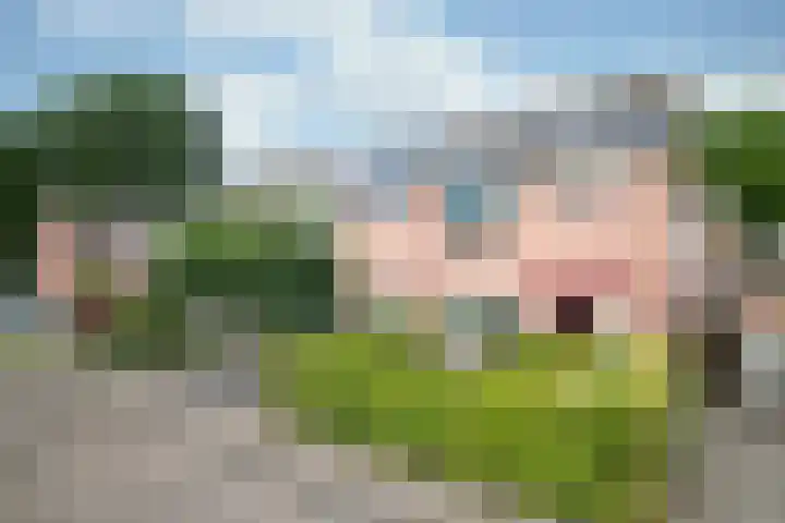 De Pol 2 Hasselt thumbnail 48