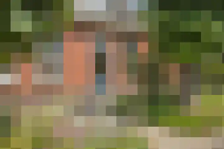 de Pol 21 Peize foto 3