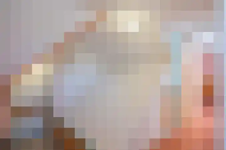 de Pol 21 Peize thumbnail 33