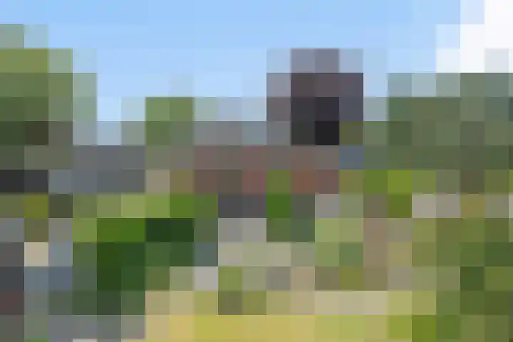 de Pol 21 Peize thumbnail 37