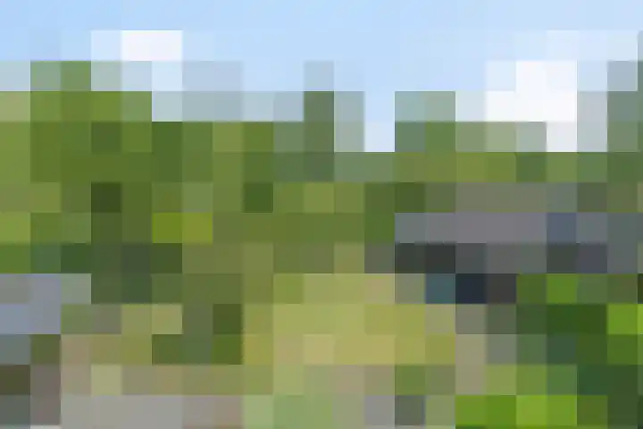 de Pol 21 Peize thumbnail 38