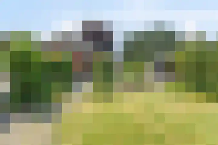 de Pol 21 Peize thumbnail 42