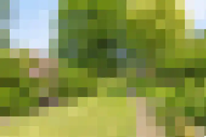 de Pol 21 Peize thumbnail 45
