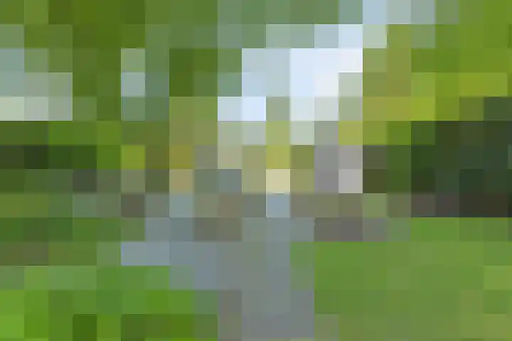 de Pol 21 Peize thumbnail 47