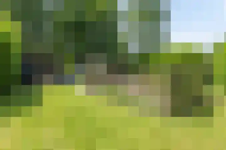 de Pol 21 Peize thumbnail 48