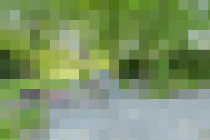 de Pol 21 Peize thumbnail 49