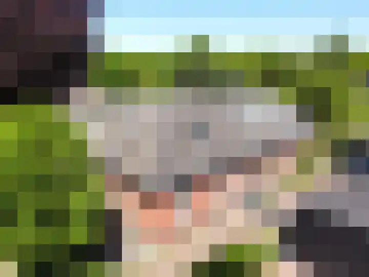 de Pol 21 Peize thumbnail 50