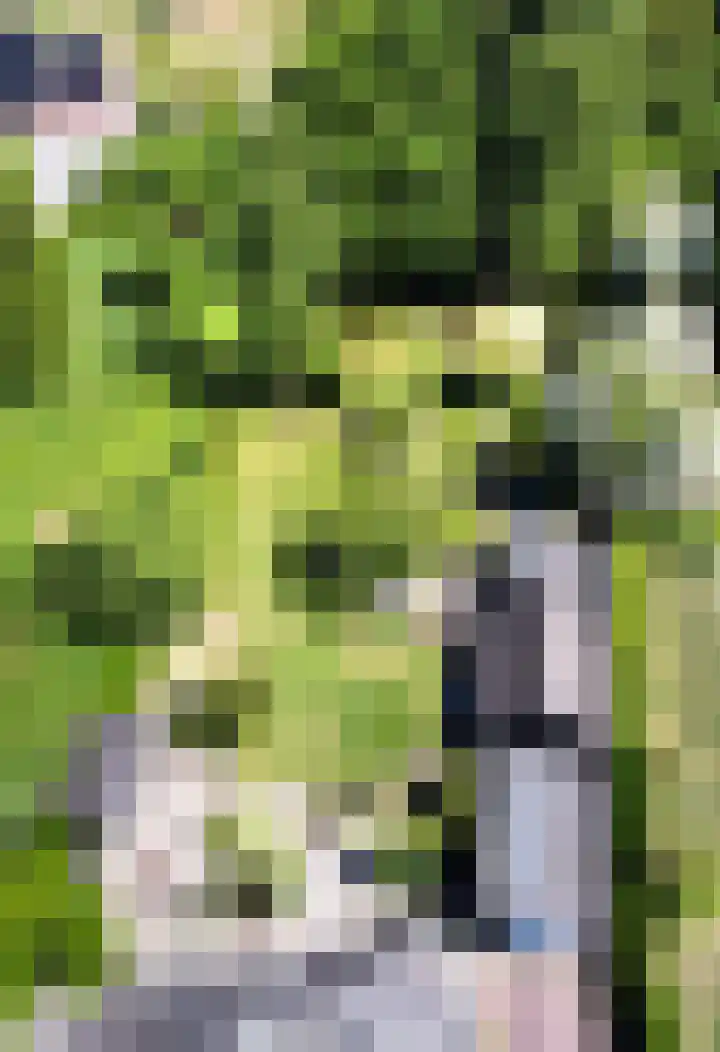 de Pol 21 Peize thumbnail 52