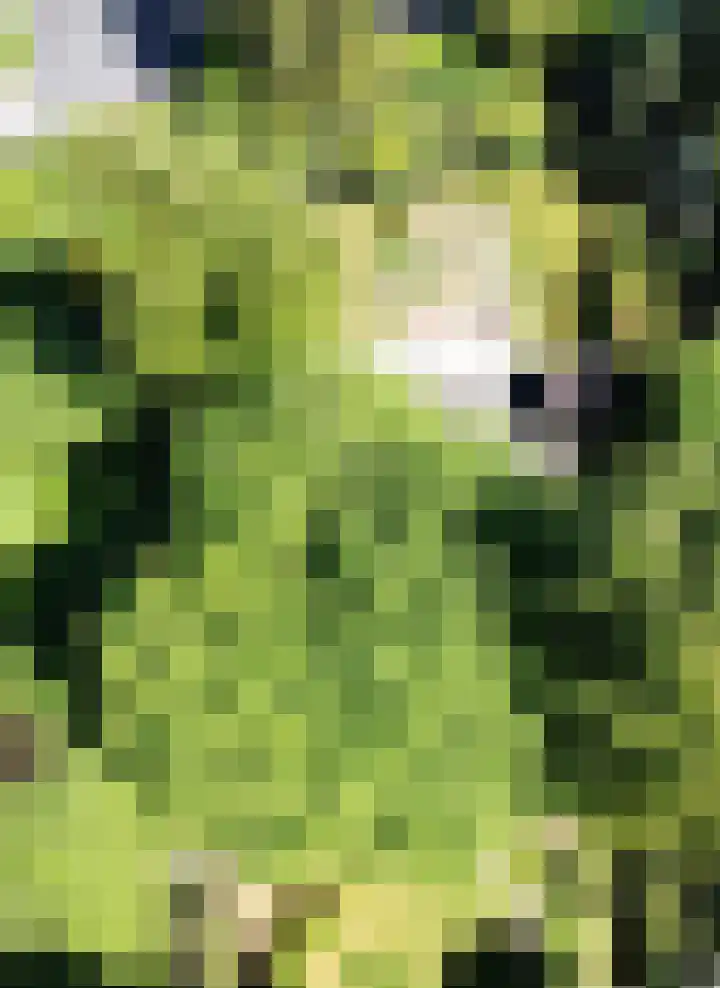 de Pol 21 Peize thumbnail 53