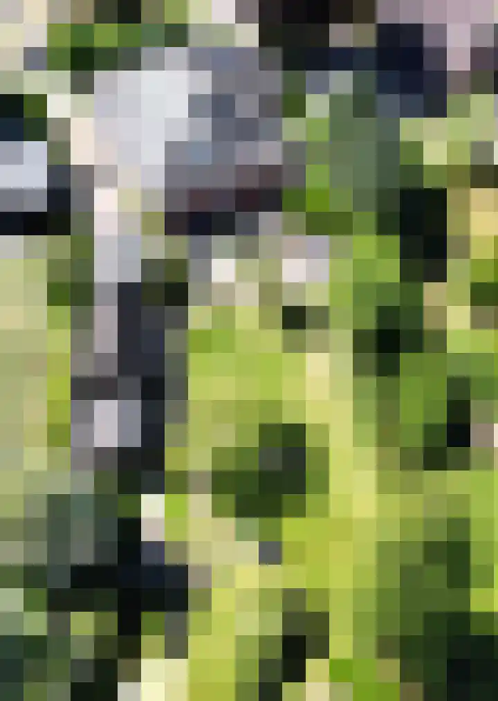 de Pol 21 Peize thumbnail 54