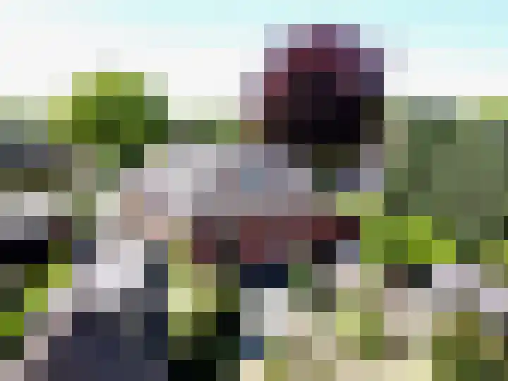 de Pol 21 Peize thumbnail 56