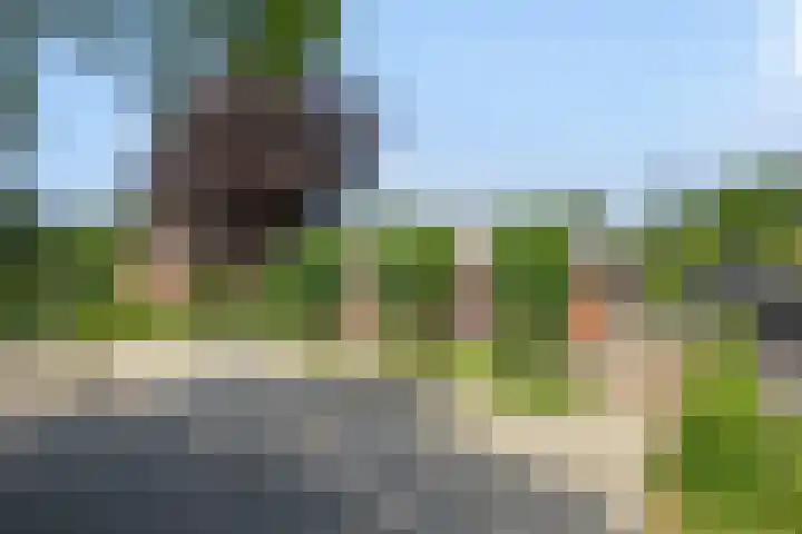 de Pol 21 Peize thumbnail 59