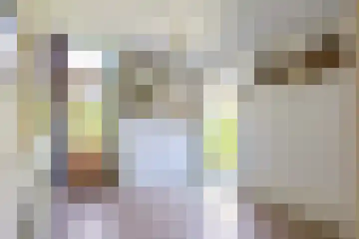 de Pol 21 Peize thumbnail 8