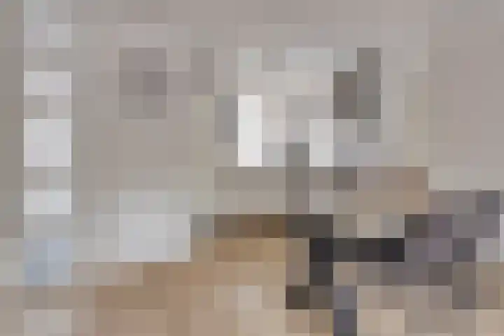 De Pol 23 Doesburg thumbnail 15