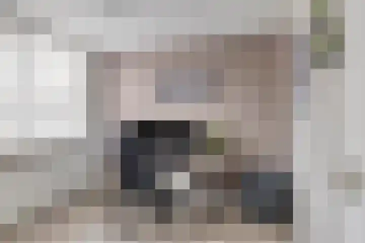 De Pol 23 Doesburg thumbnail 20