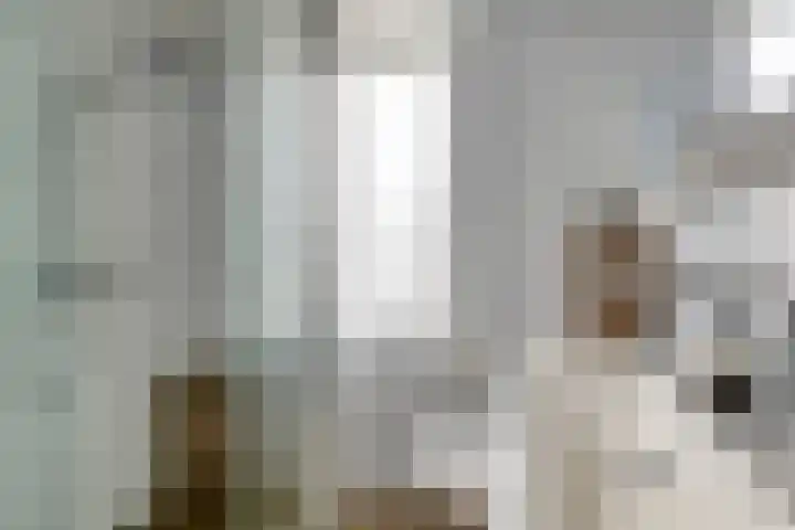 De Pol 23 Doesburg thumbnail 23