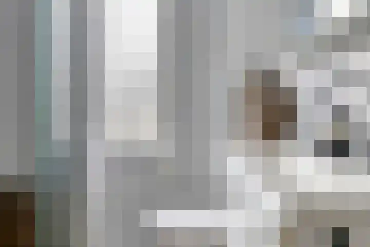 De Pol 23 Doesburg thumbnail 25
