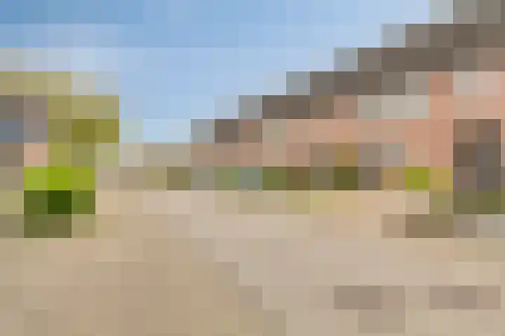 De Pol 23 Doesburg thumbnail 37